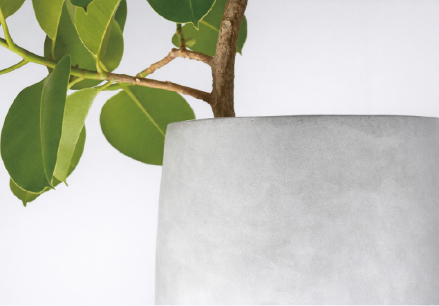 PABLO BRAQUE Building